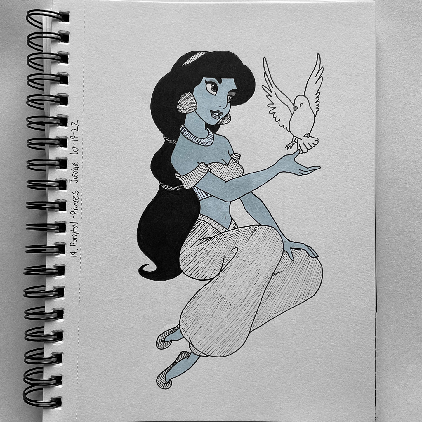 Princess Jasmine | Traditional Drawing