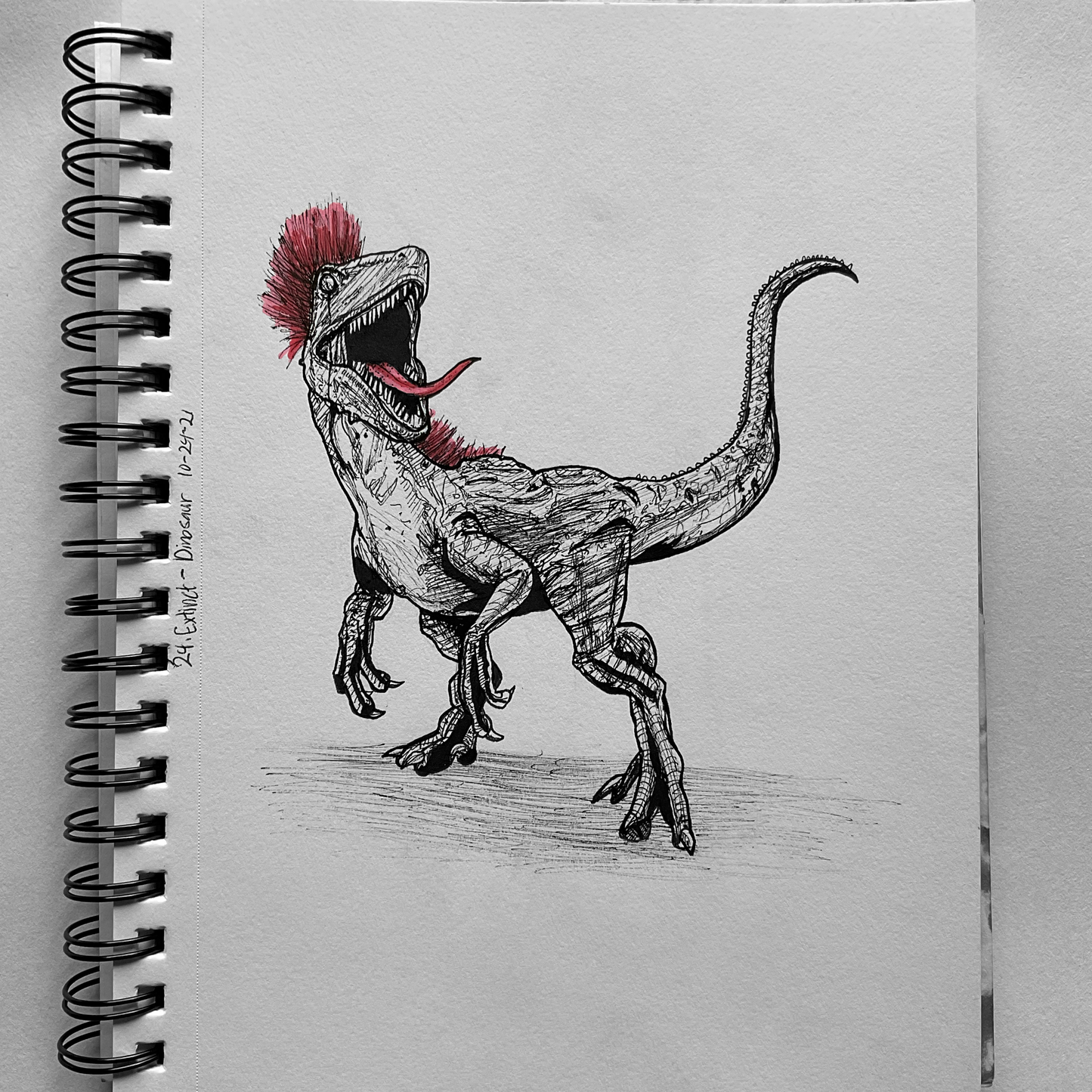 Raptor | Traditional Drawing