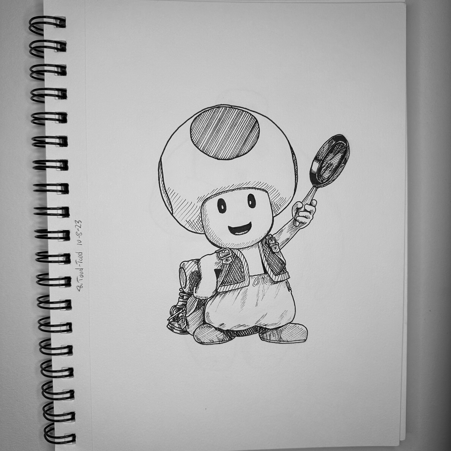 Toad | Traditional Drawing